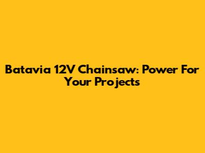 Batavia 12V Chainsaw: Power For Your Projects