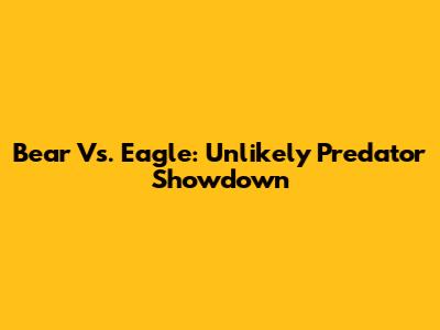 Bear Vs. Eagle: Unlikely Predator Showdown