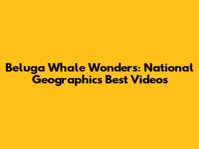 Beluga Whale Wonders: National Geographic's Best Videos