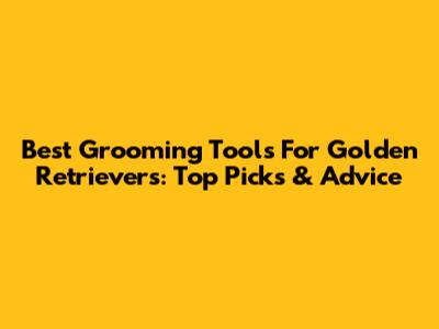 Best Grooming Tools For Golden Retrievers: Top Picks & Advice