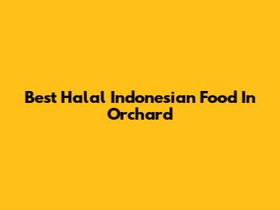 Best Halal Indonesian Food In Orchard