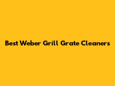 Best Weber Grill Grate Cleaners