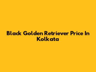 Black Golden Retriever Price In Kolkata