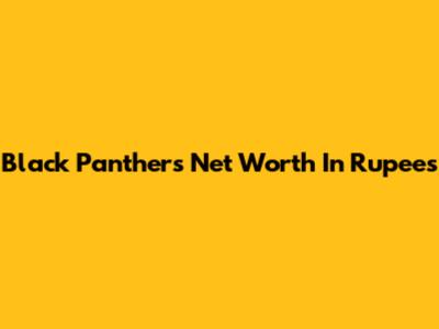 Black Panther's Net Worth In Rupees