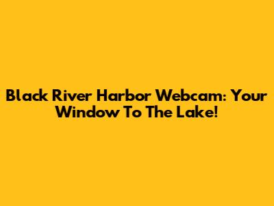 Black River Harbor Webcam: Your Window To The Lake!