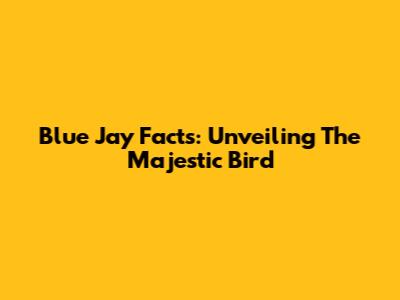 Blue Jay Facts: Unveiling The Majestic Bird