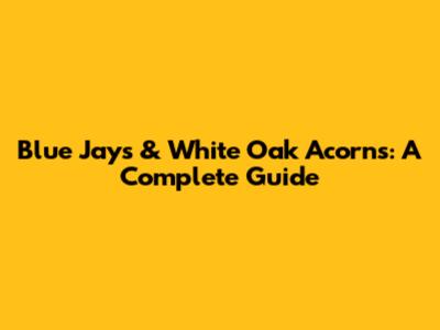 Blue Jays & White Oak Acorns: A Complete Guide