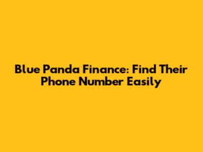 Blue Panda Finance: Find Their Phone Number Easily