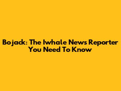 Bojack: The Iwhale News Reporter You Need To Know