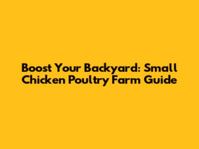 Boost Your Backyard: Small Chicken Poultry Farm Guide