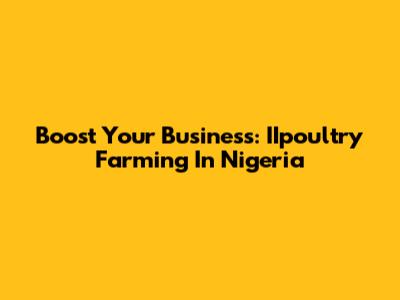 Boost Your Business: IIpoultry Farming In Nigeria