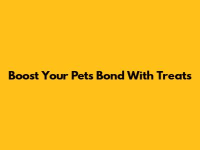 Boost Your Pet's Bond With Treats