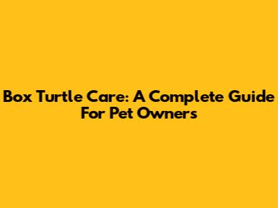 Box Turtle Care: A Complete Guide For Pet Owners