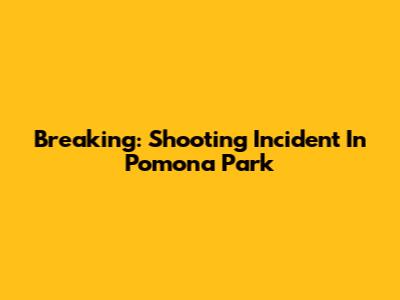 Breaking: Shooting Incident In Pomona Park