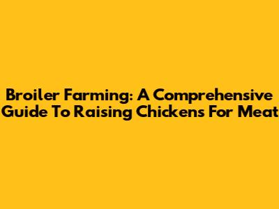 Broiler Farming: A Comprehensive Guide To Raising Chickens For Meat