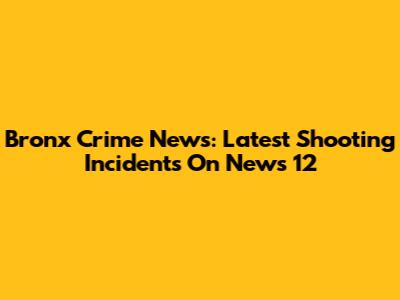 Bronx Crime News: Latest Shooting Incidents On News 12