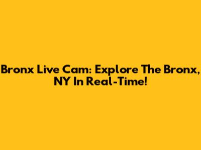 Bronx Live Cam: Explore The Bronx, NY In Real-Time!