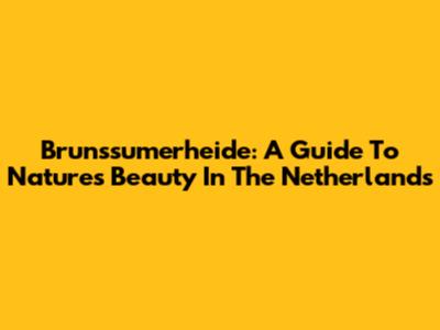 Brunssumerheide: A Guide To Nature's Beauty In The Netherlands