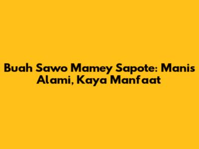 Buah Sawo Mamey Sapote: Manis Alami, Kaya Manfaat