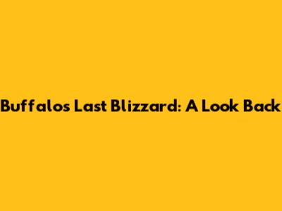 Buffalo's Last Blizzard: A Look Back