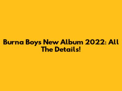 Burna Boy's New Album 2022: All The Details!