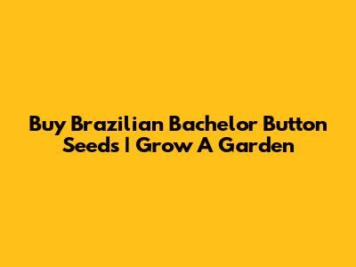 Buy Brazilian Bachelor Button Seeds | Grow A Garden