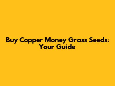 Buy Copper Money Grass Seeds: Your Guide