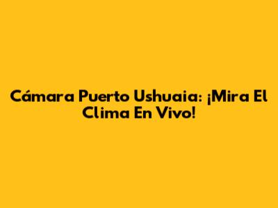 Cámara Puerto Ushuaia: ¡Mira El Clima En Vivo!