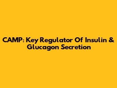 CAMP: Key Regulator Of Insulin & Glucagon Secretion