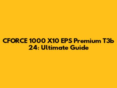 CFORCE 1000 X10 EPS Premium T3b 24: Ultimate Guide