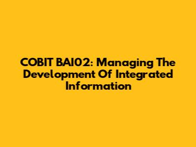 COBIT BAI02: Managing The Development Of Integrated Information