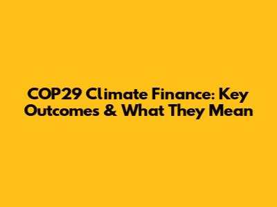 COP29 Climate Finance: Key Outcomes & What They Mean