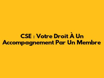 CSE : Votre Droit À Un Accompagnement Par Un Membre