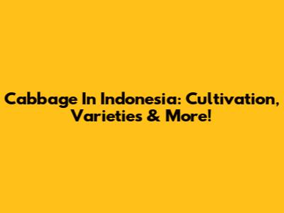 Cabbage In Indonesia: Cultivation, Varieties & More!