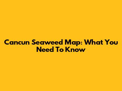 Cancun Seaweed Map: What You Need To Know