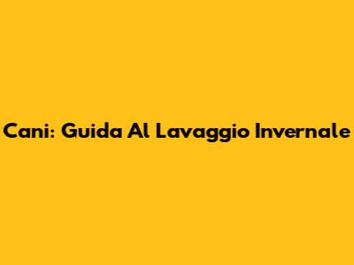 Cani: Guida Al Lavaggio Invernale