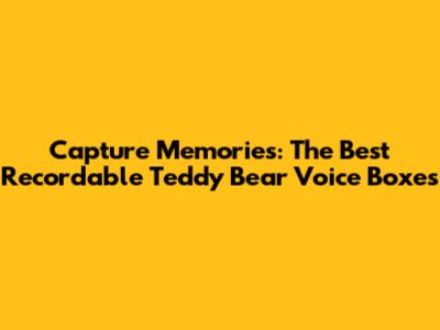 Capture Memories: The Best Recordable Teddy Bear Voice Boxes