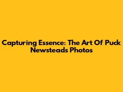 Capturing Essence: The Art Of Puck Newstead's Photos