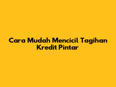 Cara Mudah Mencicil Tagihan Kredit Pintar