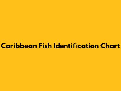 Caribbean Fish Identification Chart