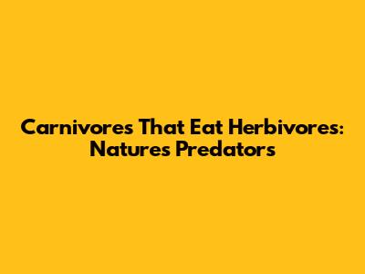 Carnivores That Eat Herbivores: Nature's Predators