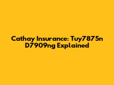 Cathay Insurance: Tuy7875n D7909ng Explained