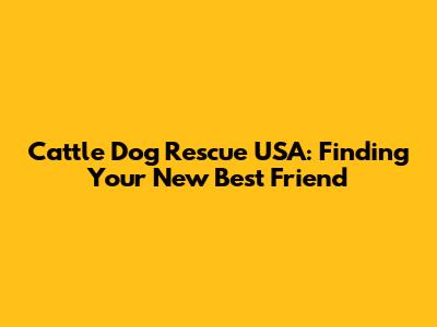 Cattle Dog Rescue USA: Finding Your New Best Friend