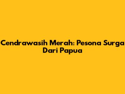 Cendrawasih Merah: Pesona Surga Dari Papua