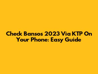 Check Bansos 2023 Via KTP On Your Phone: Easy Guide