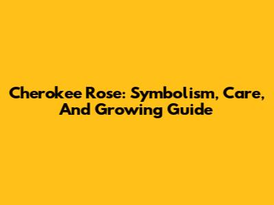 Cherokee Rose: Symbolism, Care, And Growing Guide