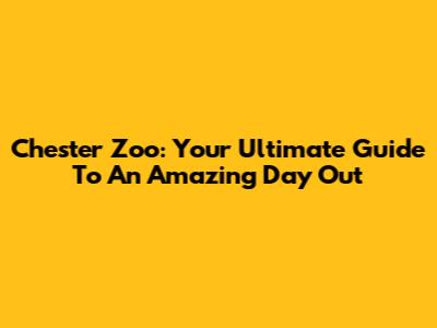 Chester Zoo: Your Ultimate Guide To An Amazing Day Out