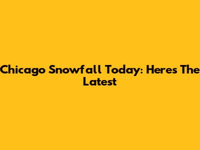 Chicago Snowfall Today: Here's The Latest