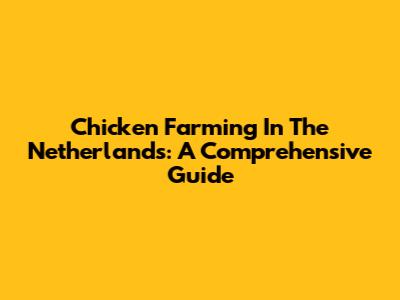 Chicken Farming In The Netherlands: A Comprehensive Guide