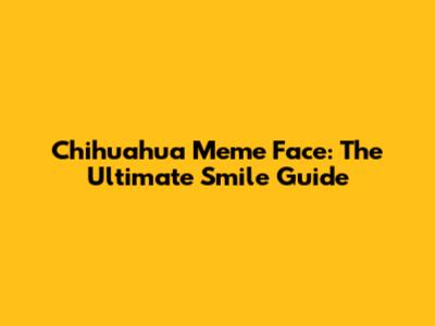 Chihuahua Meme Face: The Ultimate Smile Guide